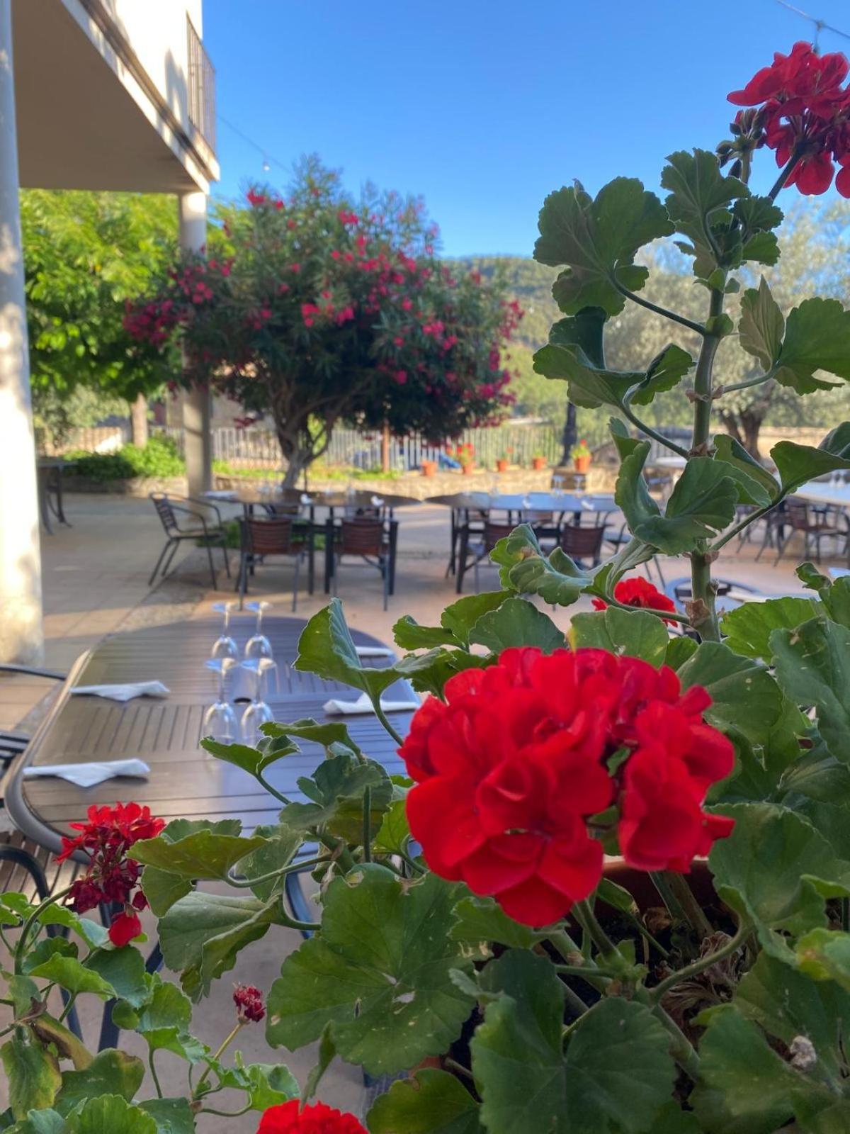Hotel Guara Inluka Las Almunias Esterno foto